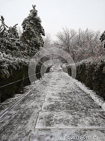 Freezing day in a deserted park Stock Photo