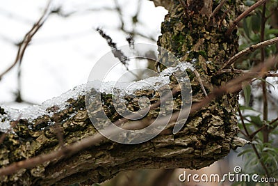 Freezing and muddy winter landscapes in England Stock Photo