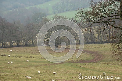 Freezing and muddy winter landscapes in England Stock Photo