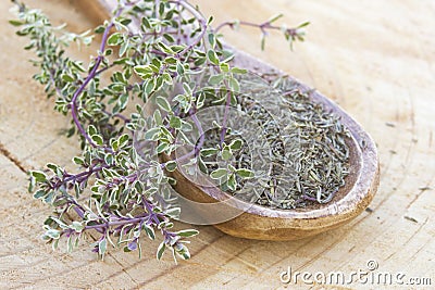 freh and dried thyme Stock Photo