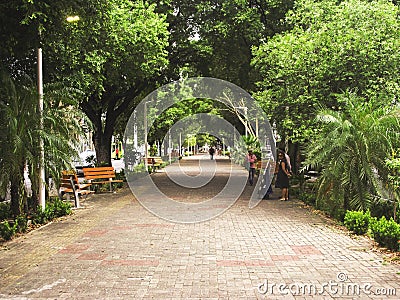 Frei Serafim Avenue - Royal Road Editorial Stock Photo