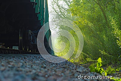 A freight train with carriages painted green stands in the fores Stock Photo