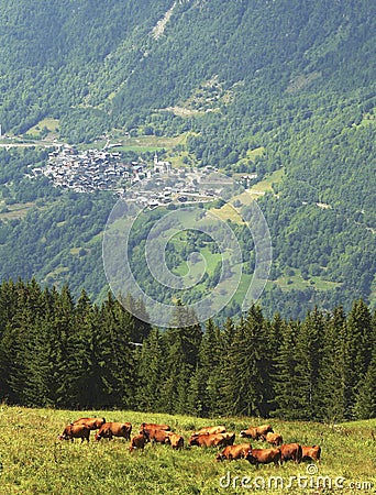 French Alpine Village Stock Photo