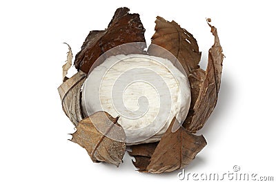 French Banon cheese in chestnut leaves Stock Photo