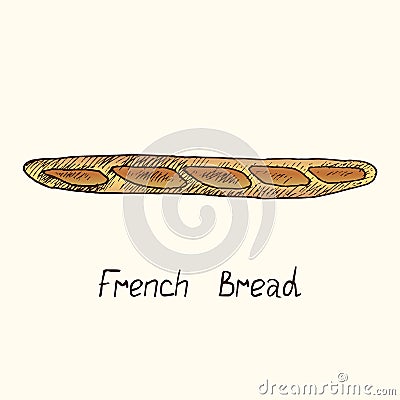 French bread, hand drawn doodle, sketch, vector illustration Vector Illustration