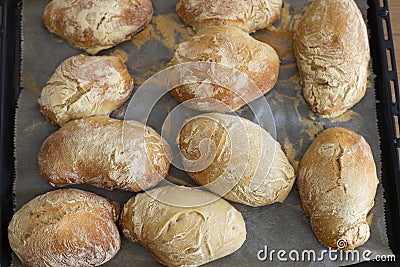 French bread loafs on a baking tin Stock Photo