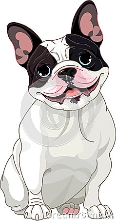 French bulldog Vector Illustration