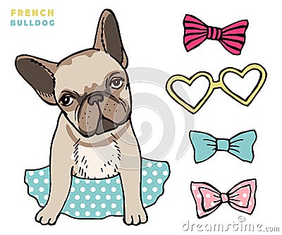 French bulldog. Cute puppy bulldog with accessorises. Dress up your dog vector illlustration Vector Illustration