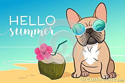 French bulldog puppy wearing reflective sunglasses on a sandy beach, ocean in background, coconut drink, Hello Summer text. Funny Vector Illustration