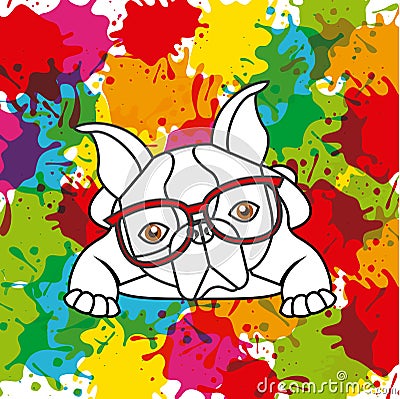 French bulldog and splash icon. Pet and dog design. Vector graph Vector Illustration