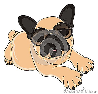 French bulldog in sunglasses lying Stock Photo