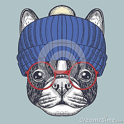 French bulldog wearing a red glasses and beanie Vector Illustration