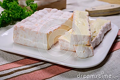 French cheeses collection, yellow Vieux Pane cheese with white mold Stock Photo