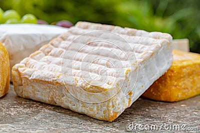 French cheeses collection, yellow Vieux Pane cheese with white mold served on marble plate outdoor in green garden Stock Photo