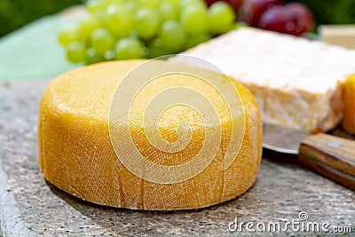 French cheeses collection, yellow Vieux Pane and Le peche des bons peres cheeses served on marble plate outdoor in green garden Stock Photo