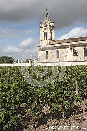 French church and vineyard Editorial Stock Photo