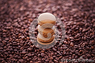 French coffee macaroons and coffee beans Stock Photo