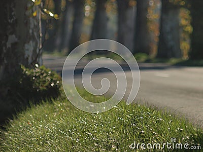 French countryside road on autumn Stock Photo