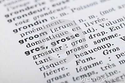 French Dictionary at the word Fat Stock Photo