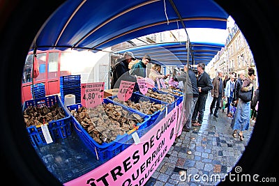 French food market selling oysters Editorial Stock Photo
