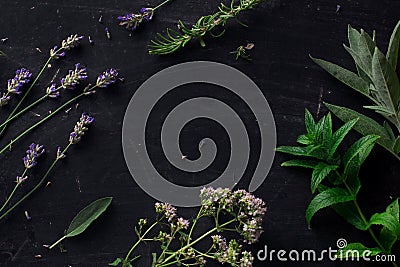 French herbs on the black desk Stock Photo