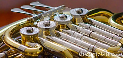 French horn detail Stock Photo