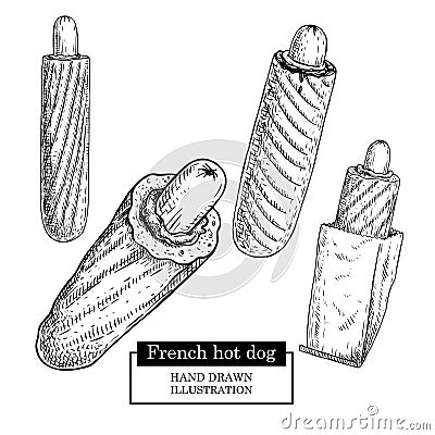 French hot dog set. Grilled sausage and bun, paper package an without. Fast food. Hand drawn sketch style street food vector illus Vector Illustration