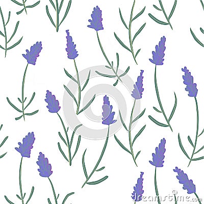 French lavender decorative pattern isolated on white background. Seamless pattern for fabric, paper and other printing Stock Photo