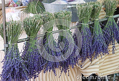 French lavender market stall Editorial Stock Photo
