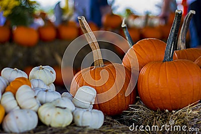 French Market Place Sign from New Orleans Stock Photo