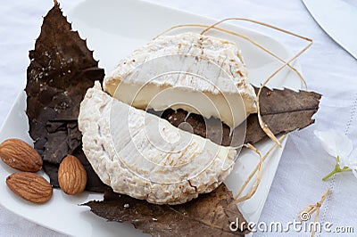 French mountains cheese banon wrapped in chestnut leaves made in Provence from unpasteurised goat milk Stock Photo