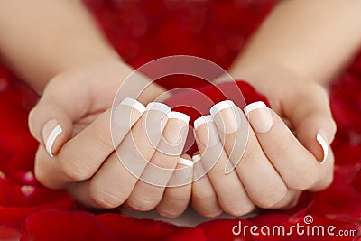 French Natural Manicure Hands Holding Red Rose Petals Stock Photo