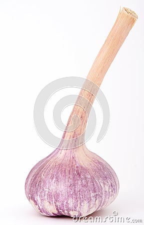 French onion garlic Stock Photo