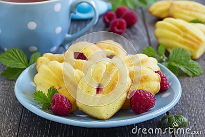 French pastries madeleines Stock Photo