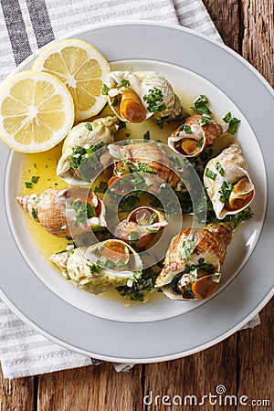 French seafood: cooked whelk with a sauce of butter, garlic and Stock Photo
