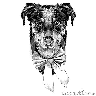 French shepherd dog head sketch Vector Illustration