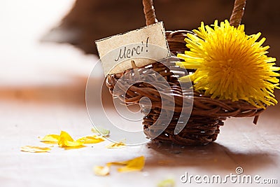 French Word Merci Stock Photo