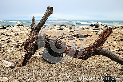 Kaanapali Beach in Lahaina, Maui, Hawaii Stock Photo