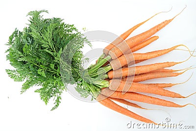 Fresch carrot Stock Photo