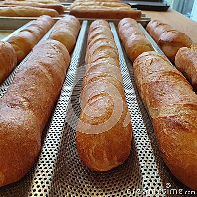 Fresch gold baquettes on baking tray in a bakery, food and bakery concept Stock Photo