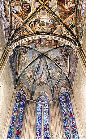 Frescoed Ceiling Arezzo Cathedral Italy Stock Photo