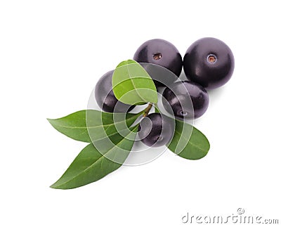 Fresh acai berries with leaves isolated, top view Stock Photo