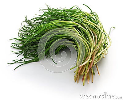 Fresh agretti, italian vegetable Stock Photo