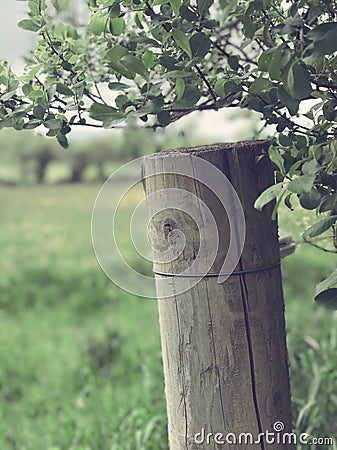 fresh air Stock Photo