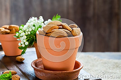 Fresh almonds Stock Photo