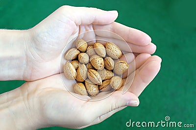 Fresh Almonds in Hands Stock Photo