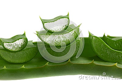 Fresh aloe vera leaf Stock Photo