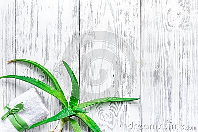 Fresh aloe vera leafs on wooden background top view copyspace Stock Photo