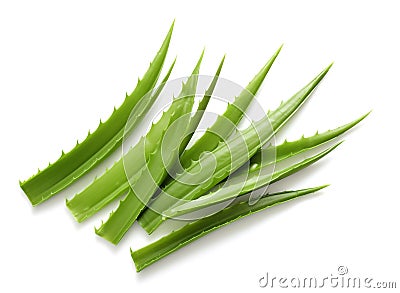 Fresh Aloe Vera Leaves Isolated on White Stock Photo