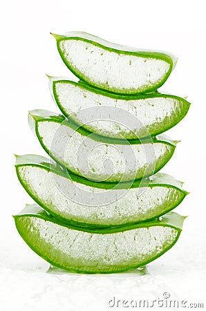 Fresh Aloe Vera on White Background. Stock Photo